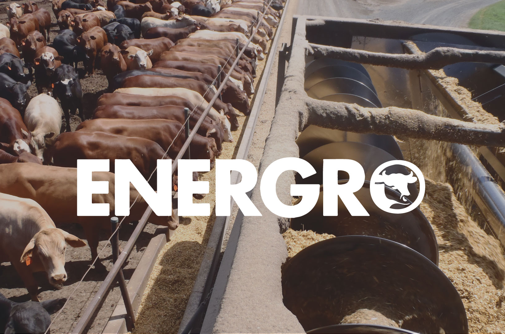 EnergroLogo-over-cattleV2